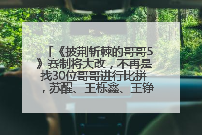 《披荆斩棘的哥哥5》赛制将大改，不再是找30位哥哥进行比拼，苏醒、王栎鑫、王铮亮、张远等多名男团选手被曝将参加