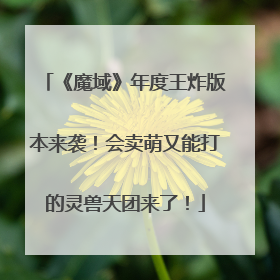 《魔域》年度王炸版本来袭！会卖萌又能打的灵兽天团来了！