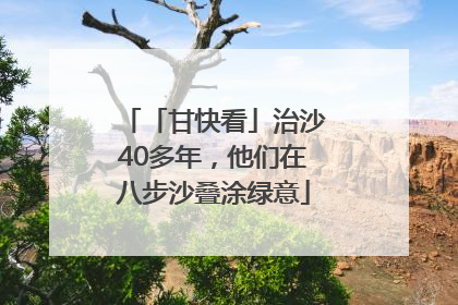 「甘快看」治沙40多年，他们在八步沙叠涂绿意