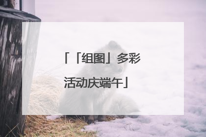 「组图」多彩活动庆端午