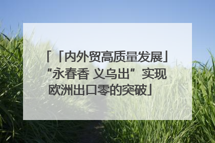「内外贸高质量发展」“永春香 义乌出”实现欧洲出口零的突破