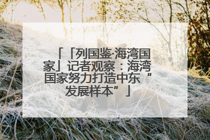 「列国鉴·海湾国家」记者观察：海湾国家努力打造中东“发展样本”