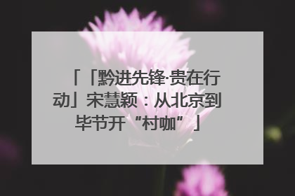 「黔进先锋·贵在行动」宋慧颖：从北京到毕节开“村咖”