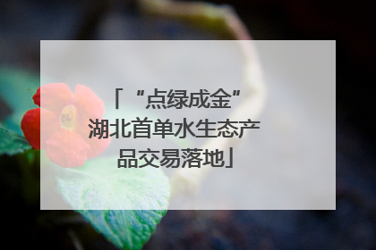 “点绿成金” 湖北首单水生态产品交易落地