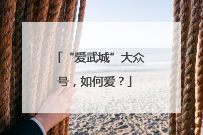 “爱武城”大众号，如何爱？