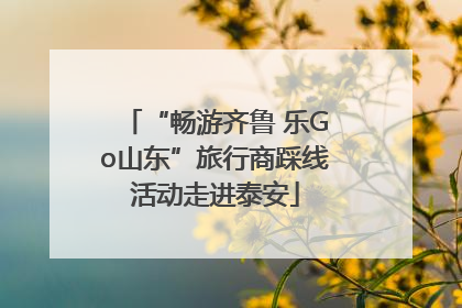 “畅游齐鲁 乐Go山东”旅行商踩线活动走进泰安