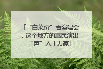 “白菜价”看演唱会，这个地方的惠民演出“声”入千万家