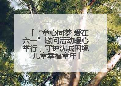 “童心同梦 爱在六一”慰问活动暖心举行，守护沈城困境儿童幸福童年