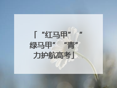 “红马甲”“绿马甲”“青”力护航高考