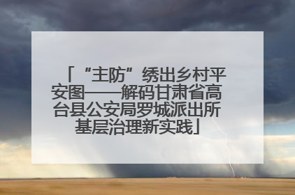 “主防”绣出乡村平安图——解码甘肃省高台县公安局罗城派出所基层治理新实践