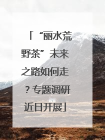 “丽水荒野茶”未来之路如何走？专题调研近日开展