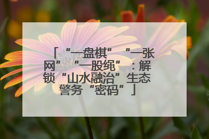“一盘棋”“一张网”“一股绳”：解锁“山水融治”生态警务“密码”