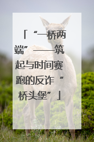 “一桥两端”——筑起与时间赛跑的反诈“桥头堡”