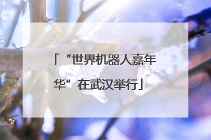 “世界机器人嘉年华”在武汉举行