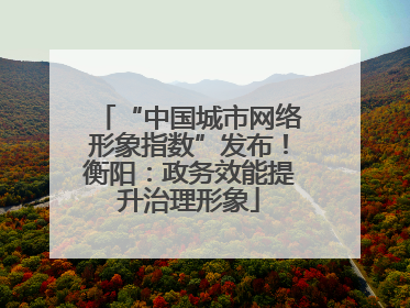 “中国城市网络形象指数”发布！衡阳：政务效能提升治理形象
