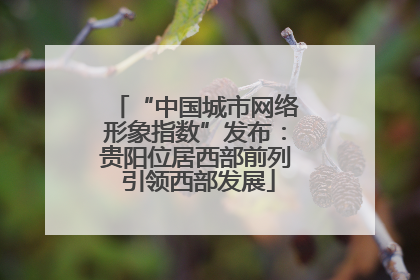 “中国城市网络形象指数”发布：贵阳位居西部前列 引领西部发展