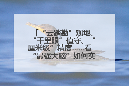 “云踏勘”观地、“千里眼”值守、“厘米级”精度……看“最强大脑”如何实现智慧治理