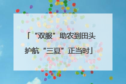 “双服”助农到田头 护航“三夏”正当时