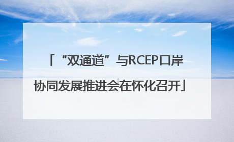 “双通道”与RCEP口岸协同发展推进会在怀化召开