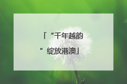 “千年越韵”绽放港澳