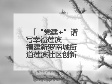 “党建+”谱写幸福莲滨——福建新罗南城街道莲滨社区创新治理模式探访