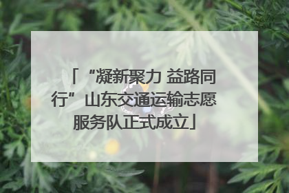 “凝新聚力 益路同行”山东交通运输志愿服务队正式成立