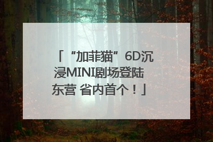 “加菲猫”6D沉浸MINI剧场登陆东营 省内首个！