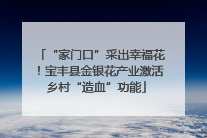 “家门口”采出幸福花！宝丰县金银花产业激活乡村“造血”功能