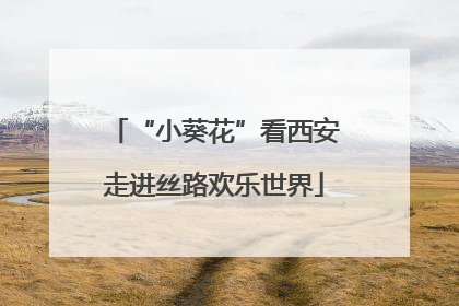 “小葵花”看西安走进丝路欢乐世界