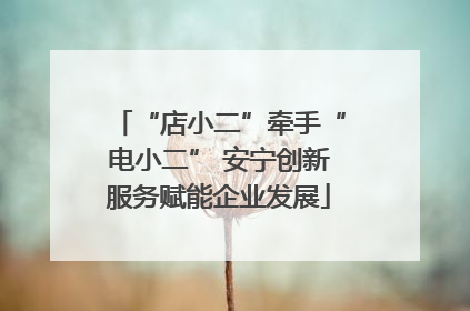 “店小二”牵手“电小二” 安宁创新服务赋能企业发展
