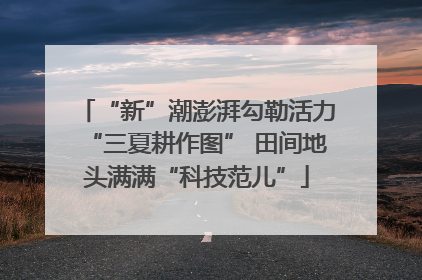 “新”潮澎湃勾勒活力“三夏耕作图” 田间地头满满“科技范儿”