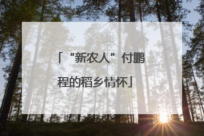 “新农人”付鹏程的稻乡情怀