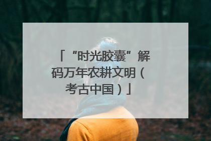 “时光胶囊”解码万年农耕文明（考古中国）