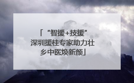“智援+技援” 深圳援桂专家助力壮乡中医焕新颜