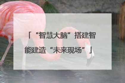 “智慧大脑”搭建智能建造“未来现场”
