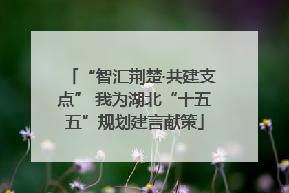 “智汇荆楚·共建支点” 我为湖北“十五五”规划建言献策