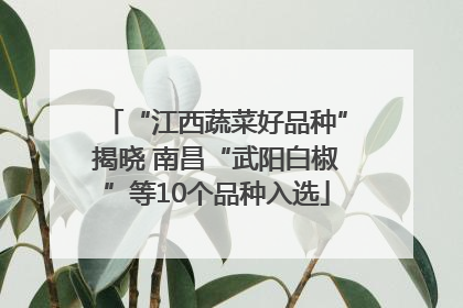 “江西蔬菜好品种”揭晓 南昌“武阳白椒”等10个品种入选