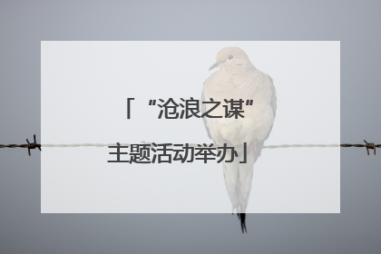 “沧浪之谋”主题活动举办