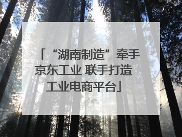 “湖南制造”牵手京东工业 联手打造工业电商平台