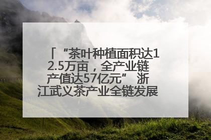 “茶叶种植面积达12.5万亩，全产业链产值达57亿元” 浙江武义茶产业全链发展“加速度”