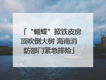 “蝴蝶”掀铁皮房顶吹倒大树 海南消防部门紧急排险