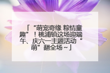 “萌宠奇缘 粽情童趣”！桃浦镇这场迎端午、庆六一主题活动“萌”翻全场～