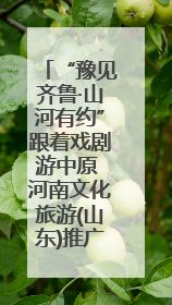 “豫见齐鲁·山河有约”跟着戏剧游中原 河南文化旅游(山东)推广周活动走进济南