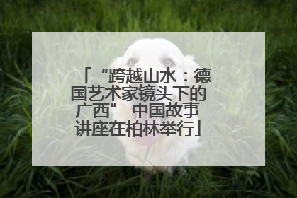 “跨越山水：德国艺术家镜头下的广西” 中国故事讲座在柏林举行