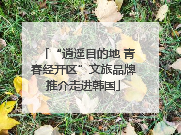 “逍遥目的地 青春经开区”文旅品牌推介走进韩国