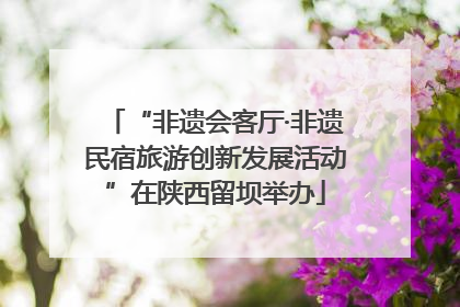 “非遗会客厅·非遗民宿旅游创新发展活动”在陕西留坝举办