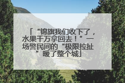 “锦旗我们收下了，水果千万拿回去！”一场警民间的“极限拉扯”暖了整个城