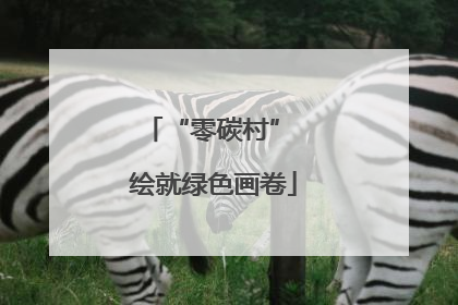 “零碳村” 绘就绿色画卷