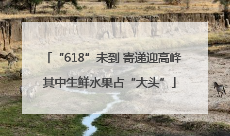 “618”未到 寄递迎高峰 其中生鲜水果占“大头”