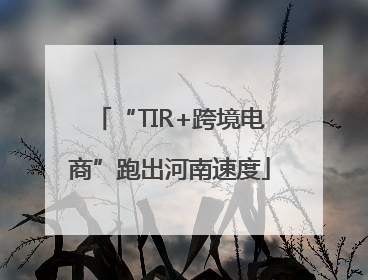 “TIR+跨境电商”跑出河南速度